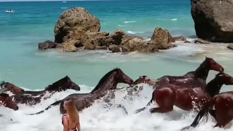 This hotel has horses wandering on its beach