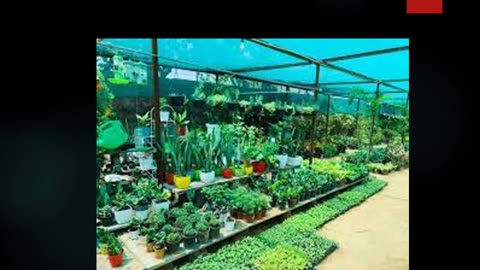Best Nursery in Punggol