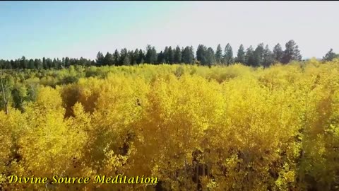 42 ★ Gentle music with Beautiful Scenery ★ Relaxation ★ Meditation ★ Yoga ★ Tai Chi ★ Spa ★ Reiki ★