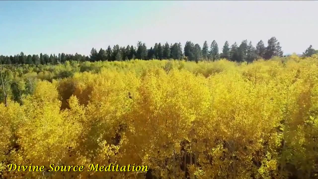 42 ★ Gentle music with Beautiful Scenery ★ Relaxation ★ Meditation ★ Yoga ★ Tai Chi ★ Spa ★ Reiki ★