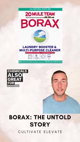 What Ever Haoppened to BORAX