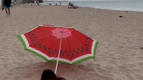 Woman's Umbrella Gets Caught by the Wind