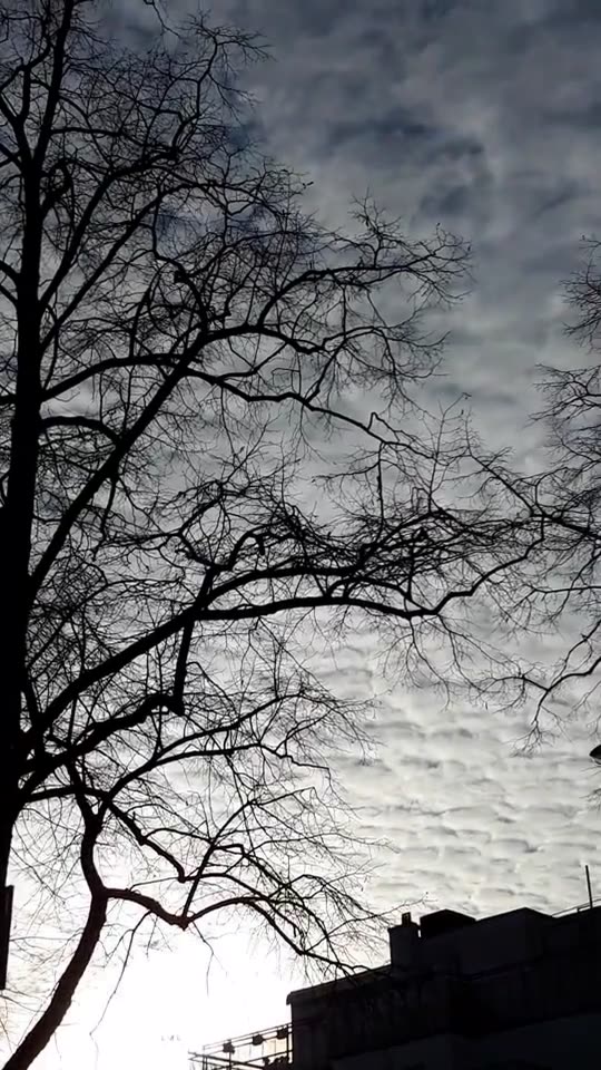 Himmel in Berlin am 26.11.2023 um 13:52 Uhr
