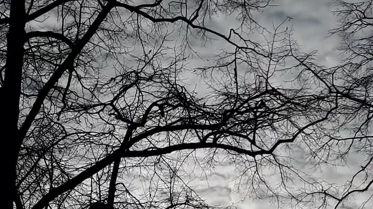 Himmel in Berlin am 26.11.2023 um 13:52 Uhr