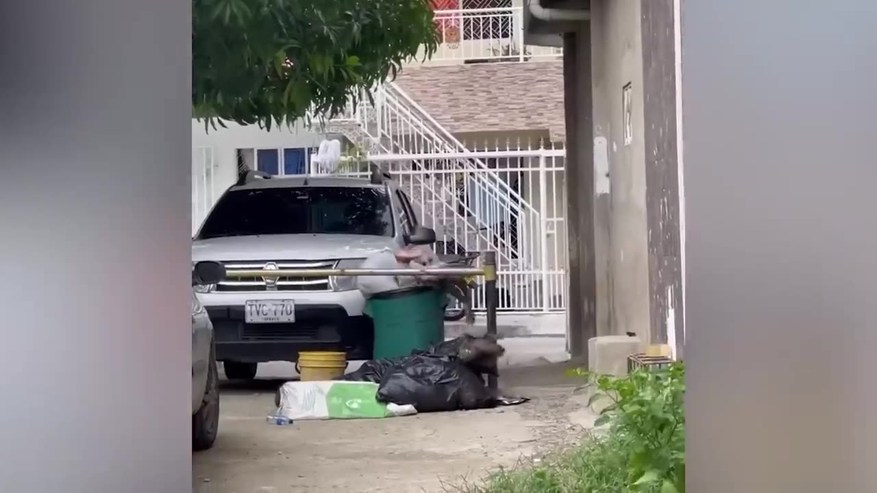 Best Funny Videos - People Being Idiots Try Not To Laugh