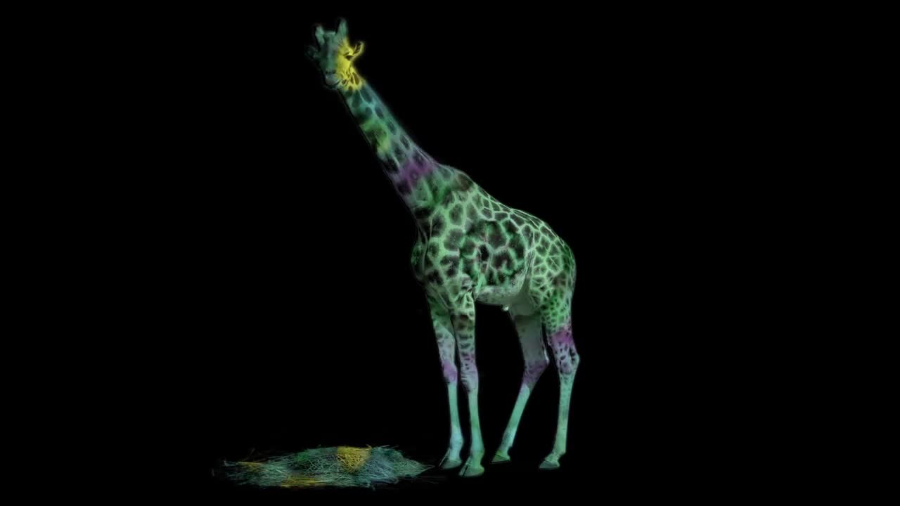 Giraffe Animal Abstract Pattern Visuals Loop