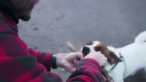 A puppy who wants to keep playing!