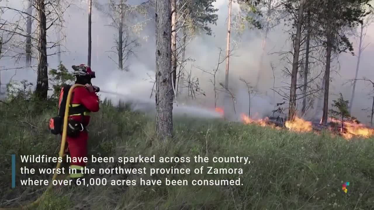 Heat Wave In Spain Sparks Raging Wildfires