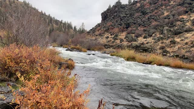 Central Oregon – Steelhead Falls – Rivershore in Autumn – 4K