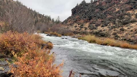 Central Oregon – Steelhead Falls – Rivershore in Autumn – 4K