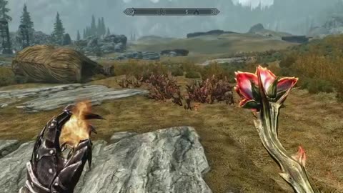 Skyrim Khajit Lord Vengeance Part 109