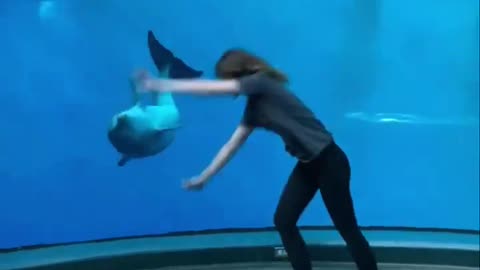 Cute Dolphin Imitates Woman