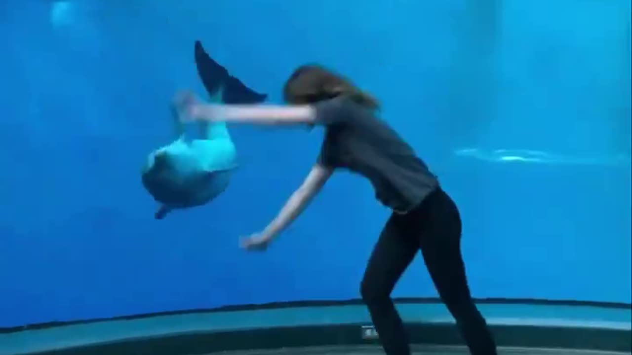 Cute Dolphin Imitates Woman