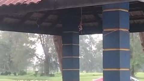 Funny Monkey Business