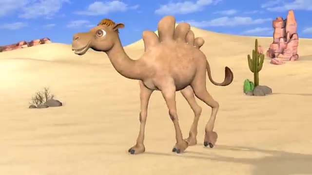 Jamel the Camel - Jamil and Jamila Songs for Kids_Cut