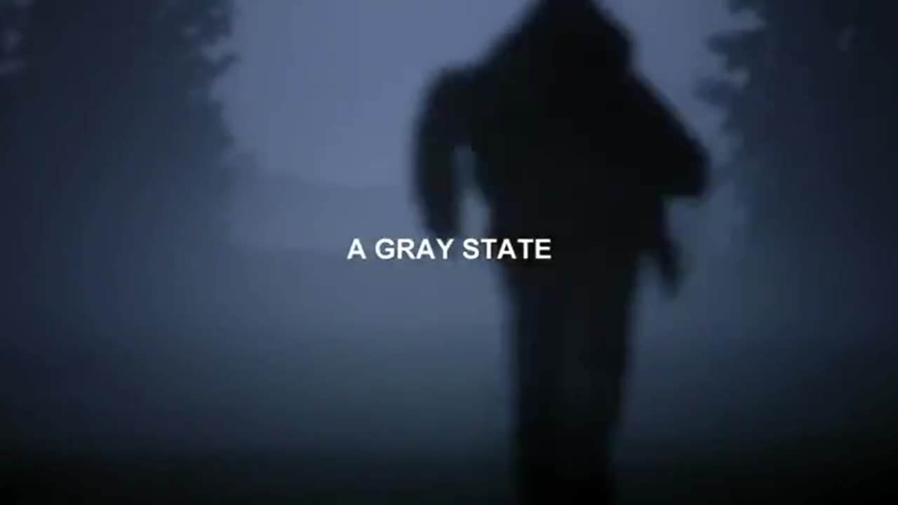 'A GRAY STATE' DOCUMENTARY 2017