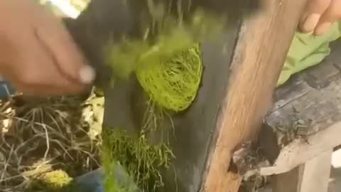 Super cool jobs 👌
