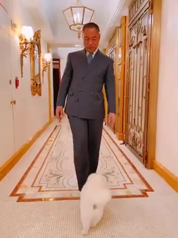 aPE2ZATijQo6qb7GZYmuYo