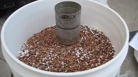 Mittleider Garden Weekly Feed Fertilizer Recipe, Sustainable Gardening - YouTube1