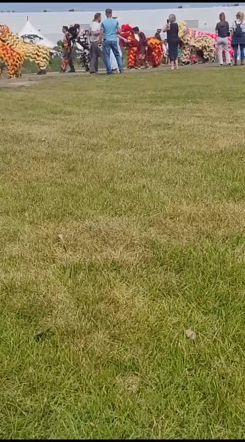 Dragon dance . The Edmonton Heritage Festival 2023.