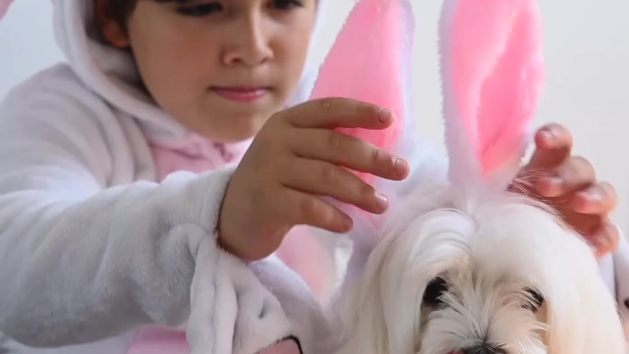 Baby boy playing with his pet dog || cute pet animal playing