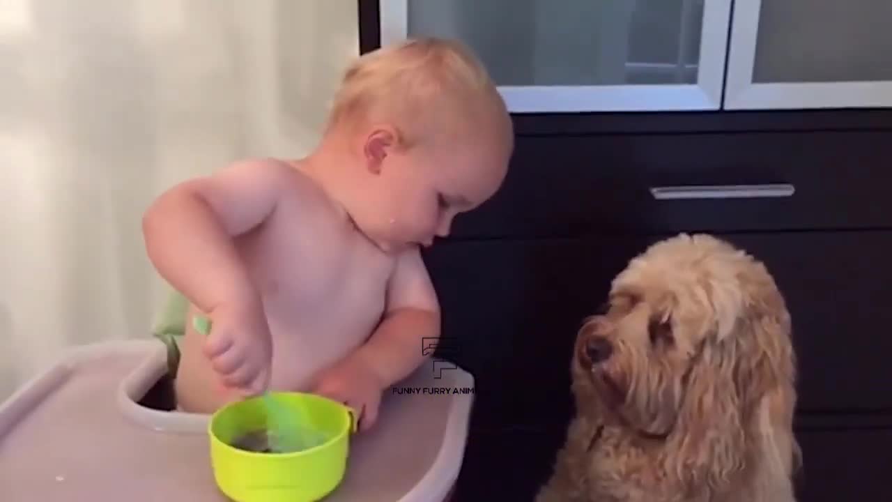 Baby and Cats Playing Together - Funny Baby and pets Moments