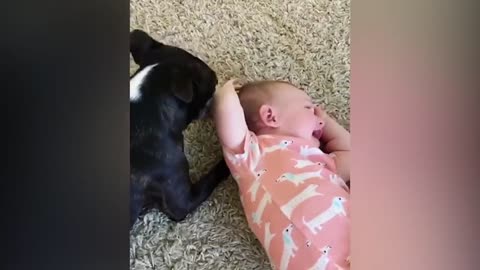 Funniest Baby Videos of the Week - Try Not To Laugh