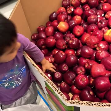 Apples - Counting - Numbers - Educational Videos for Kids