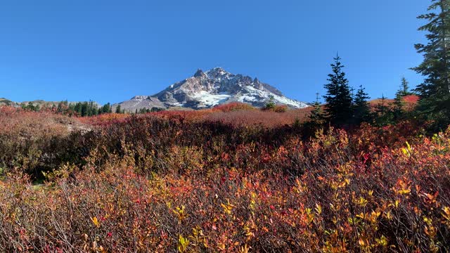 Oregon – Mount Hood – Alpine Fall Foliage – 4K