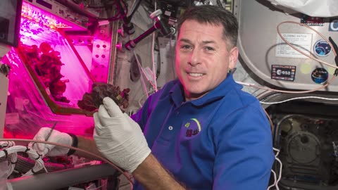 International Space Station Crew Previews SpaceX CRS-23 Science