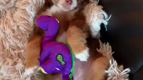 You make is easier to wake up