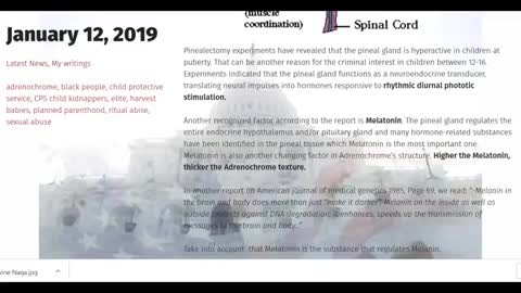 CANNIBALISM IS REAL - PINEAL GLAND & ADRENOCHROME HARVESTING -