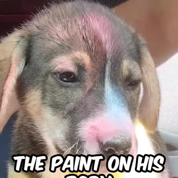 Everyone Was So Cruel To Him 😭😭😭