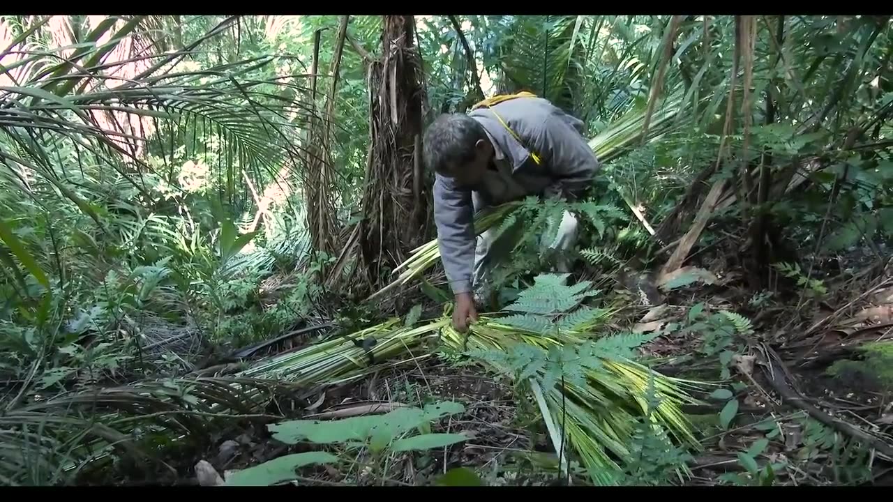 Silent & Deadly - Searching Bolivia's Most Venomous Snake