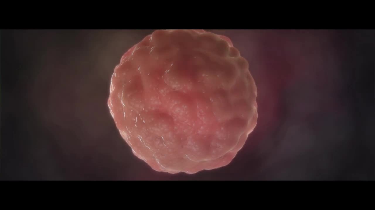 The Dangerous Effects of EMFs by Professor Martin L. Pall