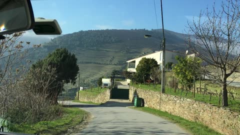 Wine Tour (Douro Valley, Alto Douro, Portugal) 4