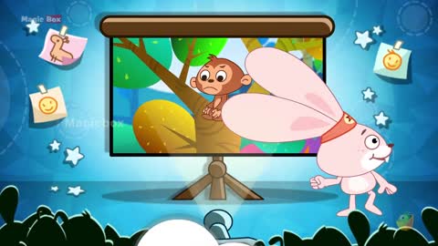 Funny animals video 🤣🤣🤣