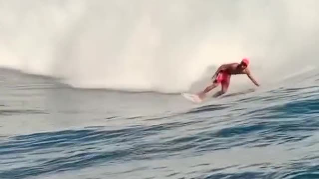 IMAGENS SUBAQUÁTICAS QUE VOCÊ PRECISA VER⚠️