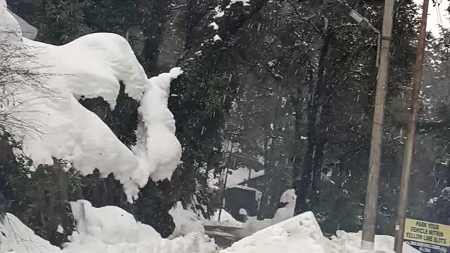 Sanow at dalhousie in himachal pradesh