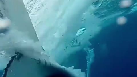 Close call with a Humpback Whale!!