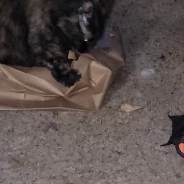 Tasty bag for Boots