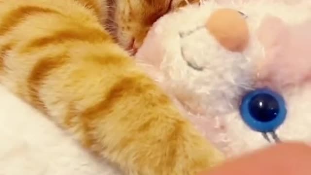 What doll is barking