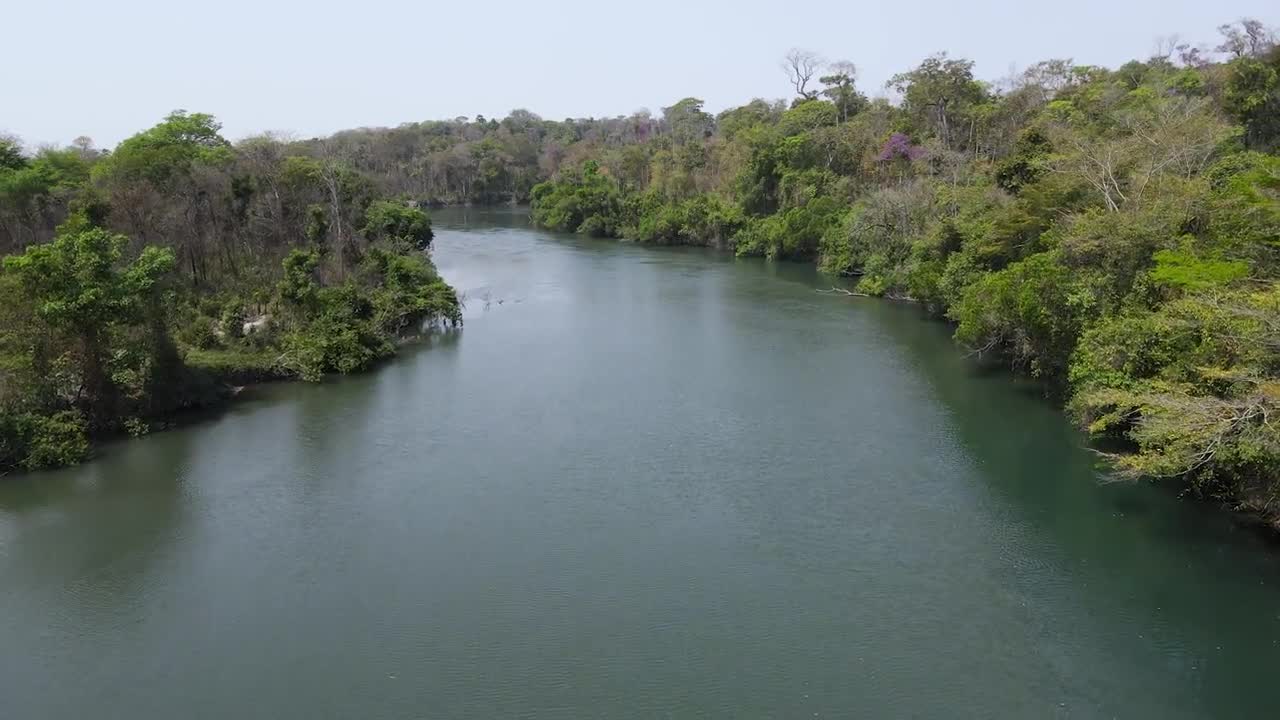 Amazon river brazil