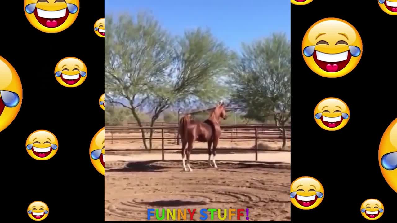 Funny Horse Fail Compilation