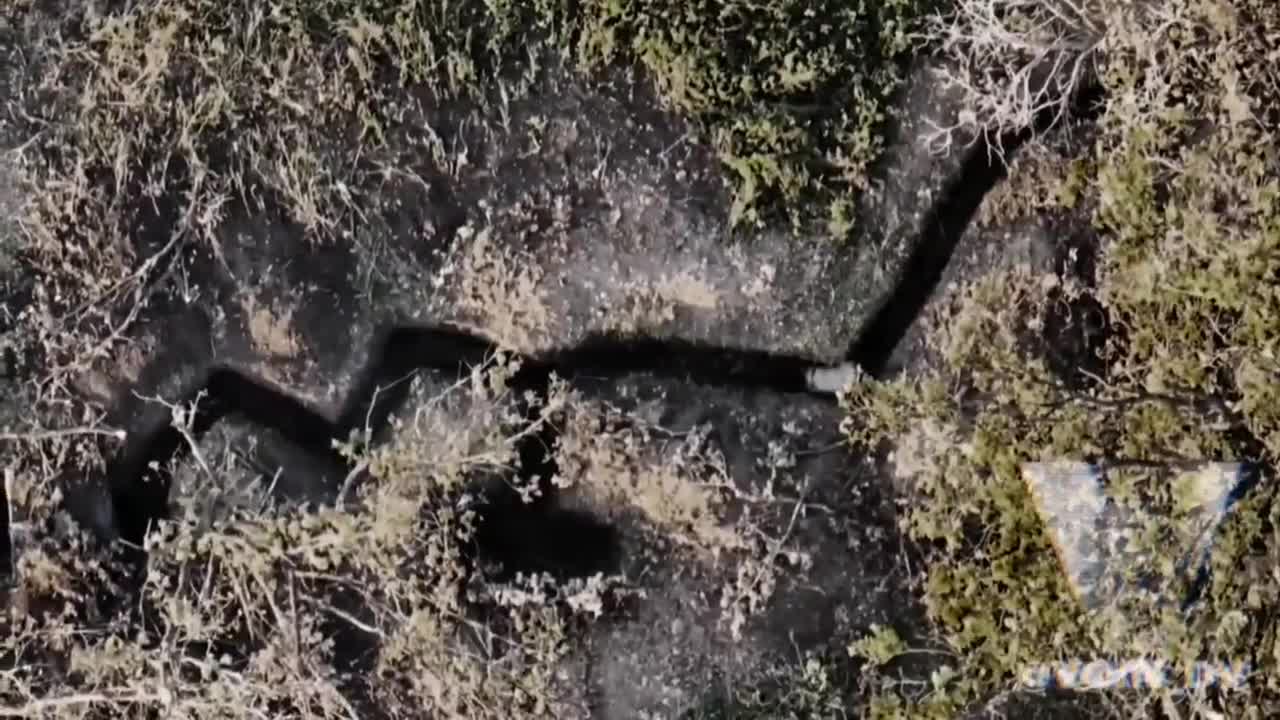 Хохол ловит грену с небес