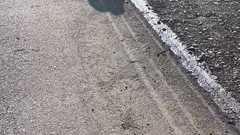 Mai luăm la pilă daca dă cu virgulă
