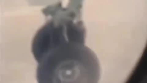 Plane