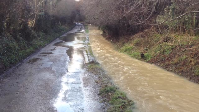 Dog Nearly Swept Away Having Fun In River