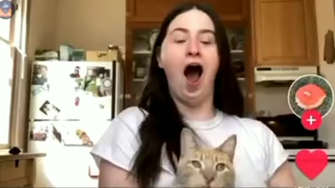 GIGGLE FOR 2-28-23 I’M GUESSING THIS CAT HAS HAD ENOUGH 😂OF THE “WOKE” CRAP!