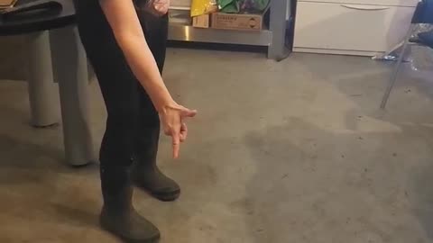 My wife shot my dog!!!